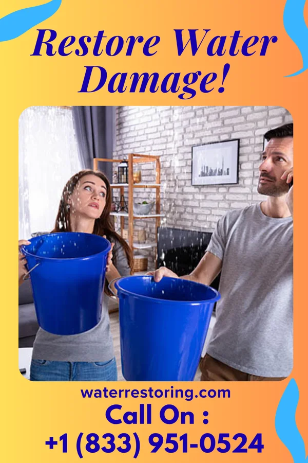 water restoration Premier Flood Damage Partners Brush