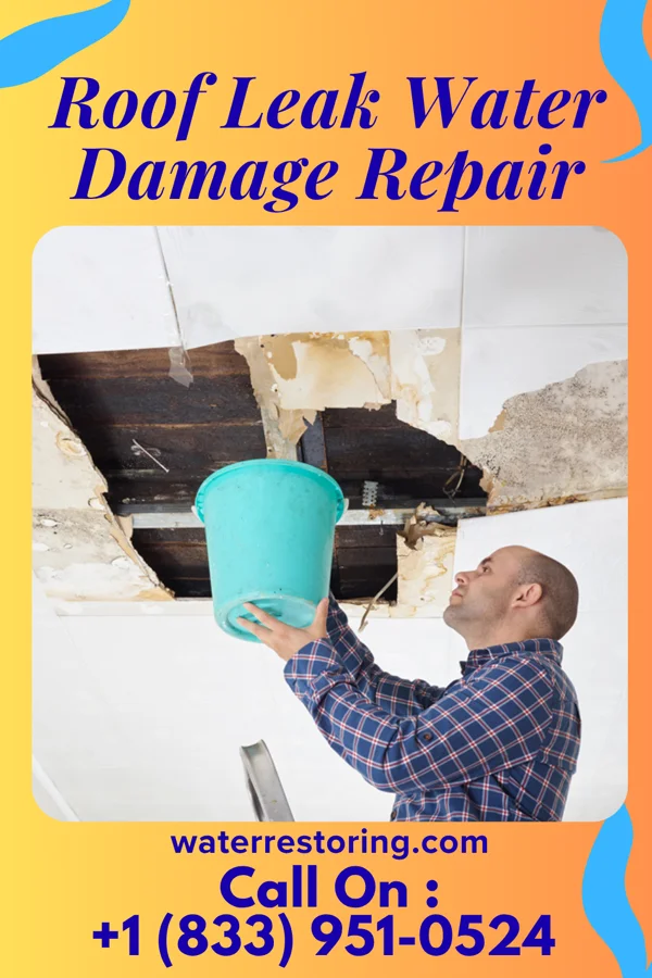 Roof Leak Water Damage Repair in Brush, CO